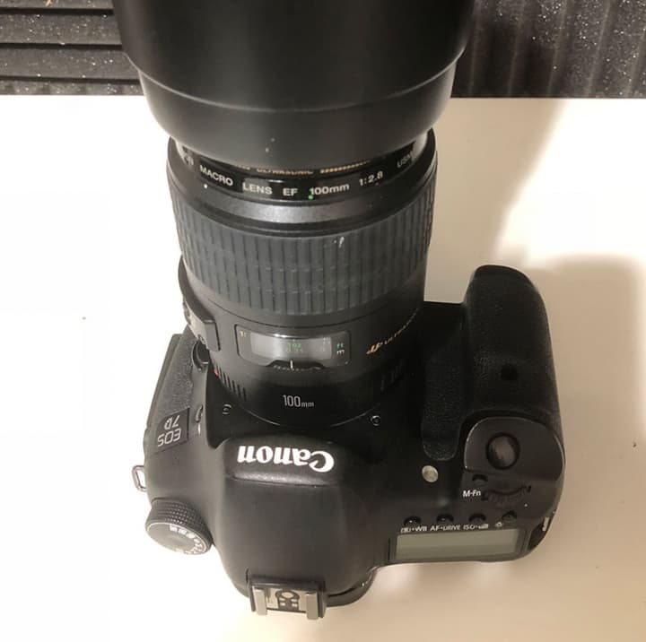 Canon 7D e lente 100mm macro